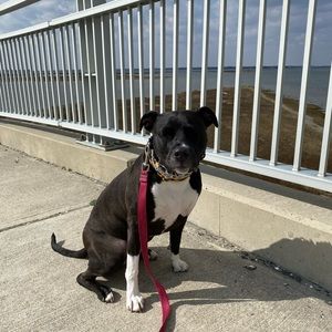 Meet your Posher, Stacy